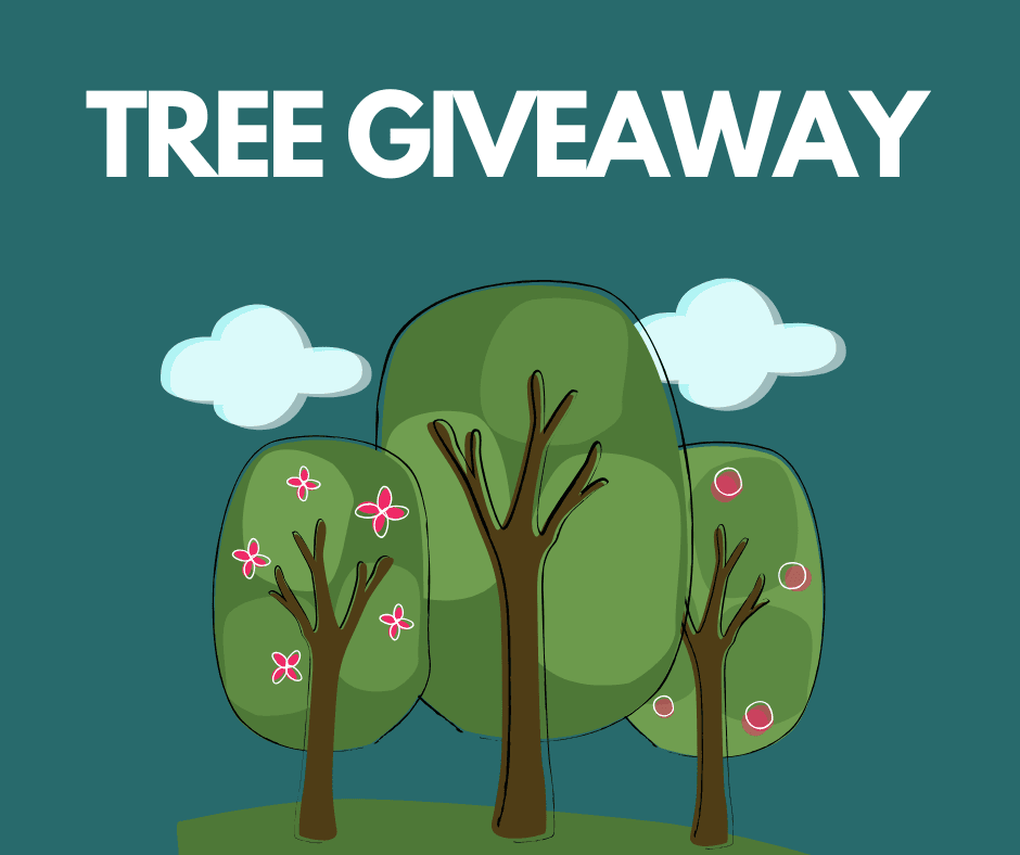 Tree Giveaway