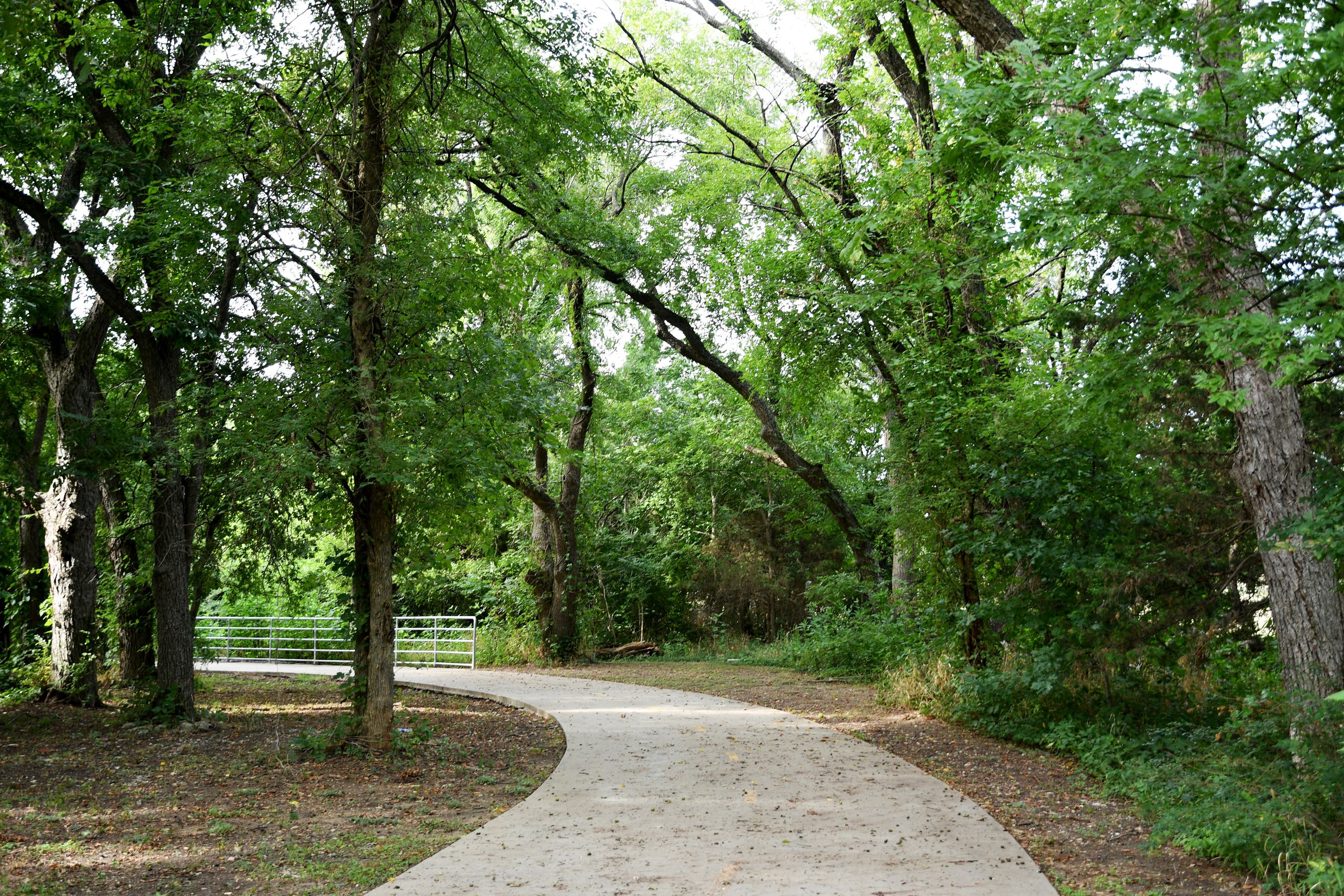 Paved trail through trees