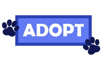 Adopt_Icon