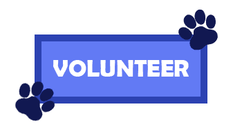 Volunteer_Icon