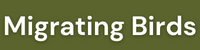 MigratingBirds_Link