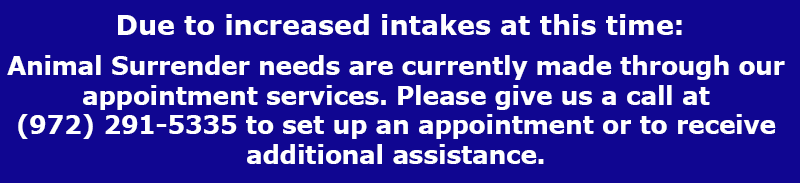 SurrenderServices_Banner