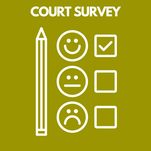 SURVEY Opens in new window