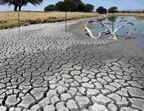 Drought lake