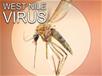 WNV